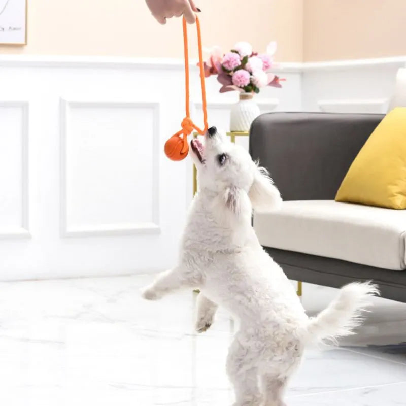 Dog Ball Indestructible Chew Rubber Ball with String Interactive