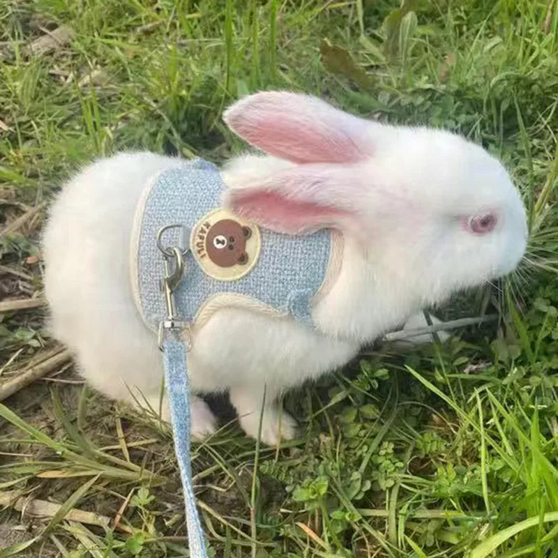 Rodent Harness and Leash  Vest Harnesses