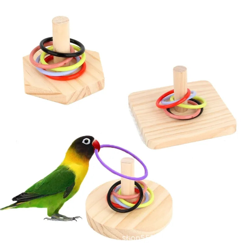 Bird Training  Wooden Block Puzzle  Colorful Plastic Rings