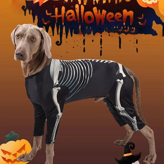 Halloween Skeleton Dog Costumes  Jumpsuit Halloween Costume