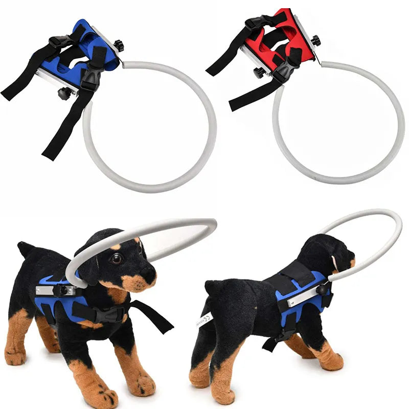 Blind Dog Harness Vest Prevent Collision Ring - specialneedspetshop