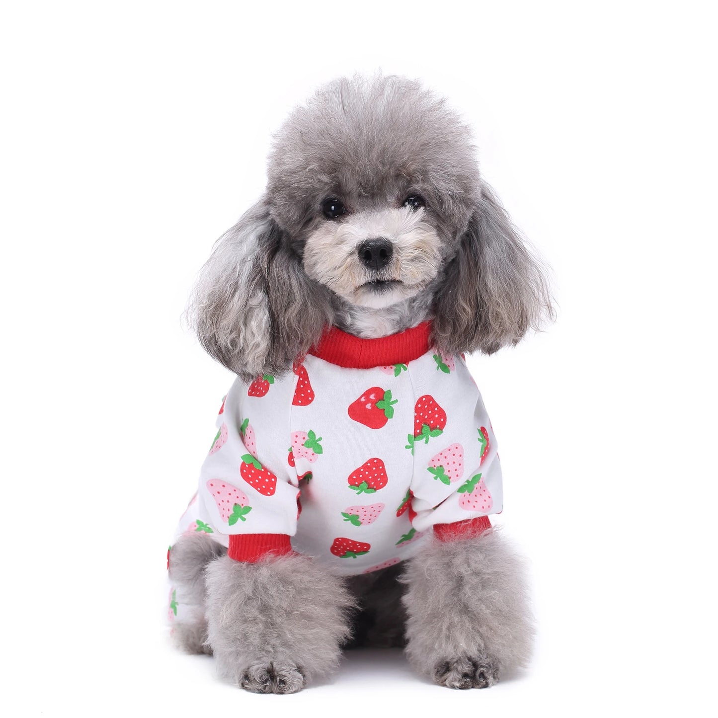 Dog Pajamas for Small Pet Clothing Jumpsuit