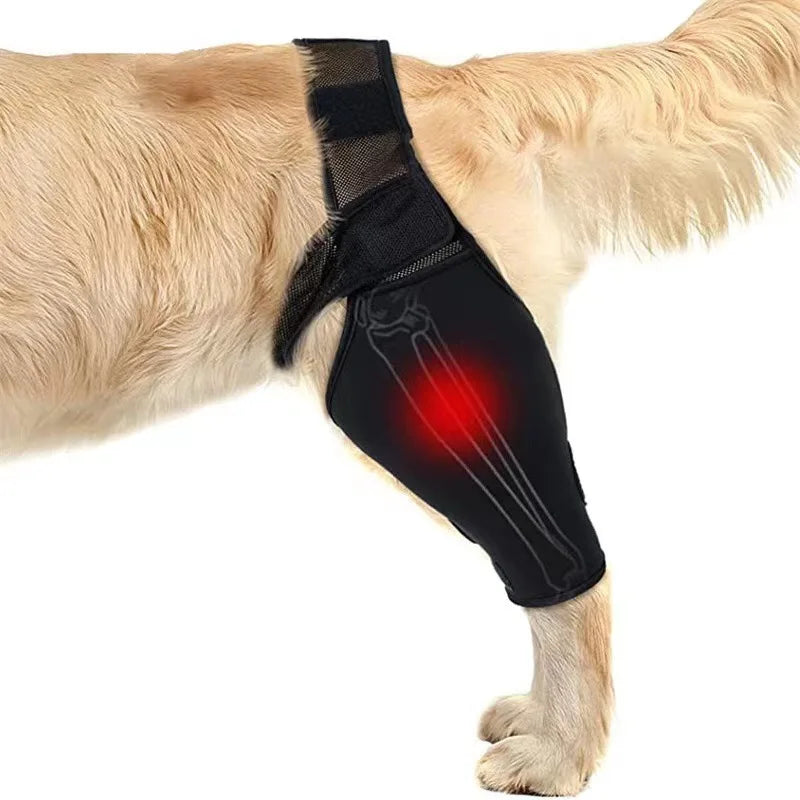 Pet Dog Knee Brace For Joint Pain   Leg Brace Rear Leg   Support