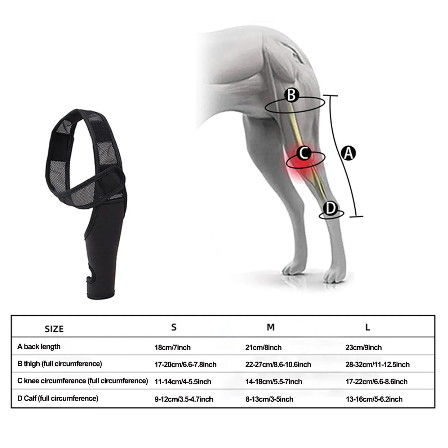 dog Hip or Knee Support  Torn ACL Patella Luxation Osteoarthritis - specialneedspetshop