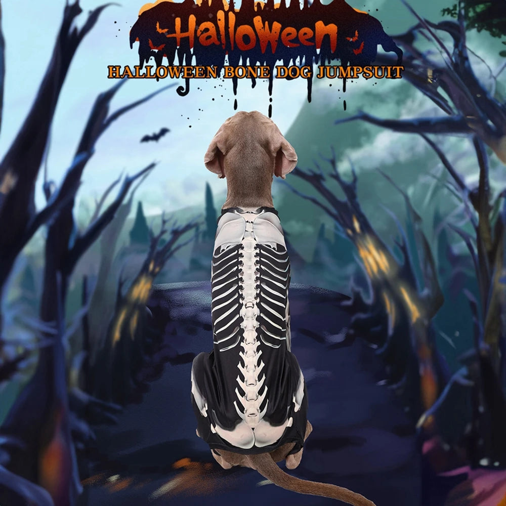 Halloween Skeleton Dog Costumes  Jumpsuit Halloween Costume