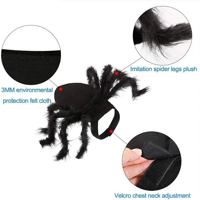 Black Spooky Spider Clothes  For Dogs Cats