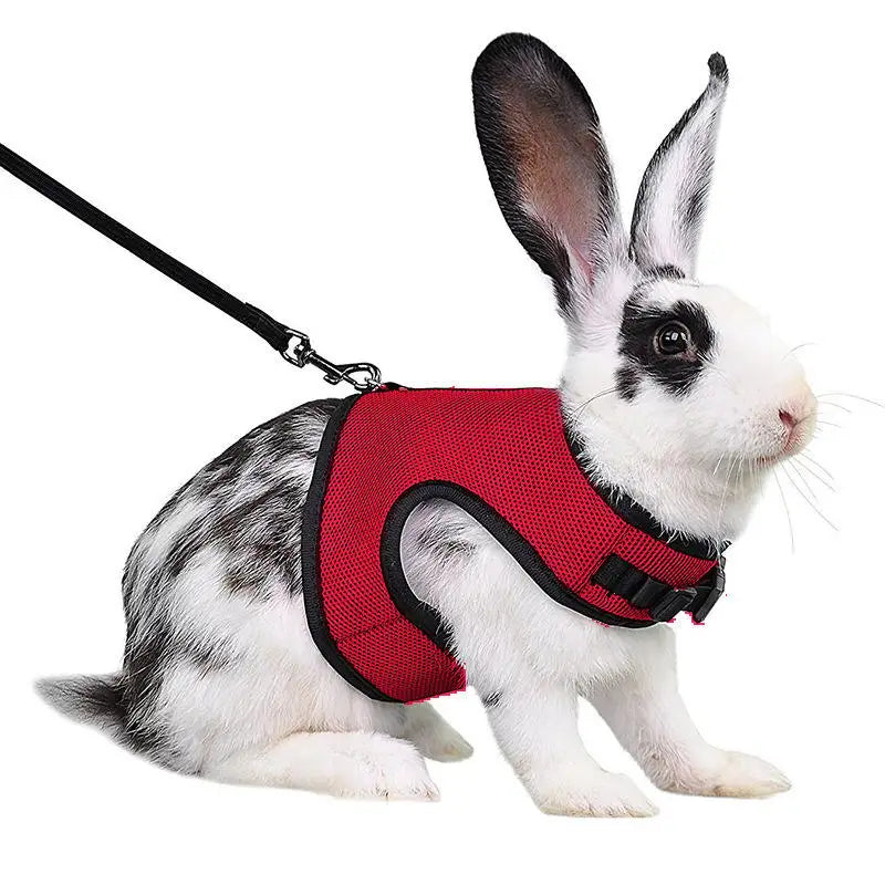 Mutil-Colors Breathable  Adjustable Soft Harness  And Elastic Leash Set For Rabbits