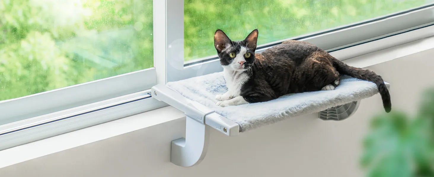 Cat Window Perch Hammock  Up to 18kg - specialneedspetshop