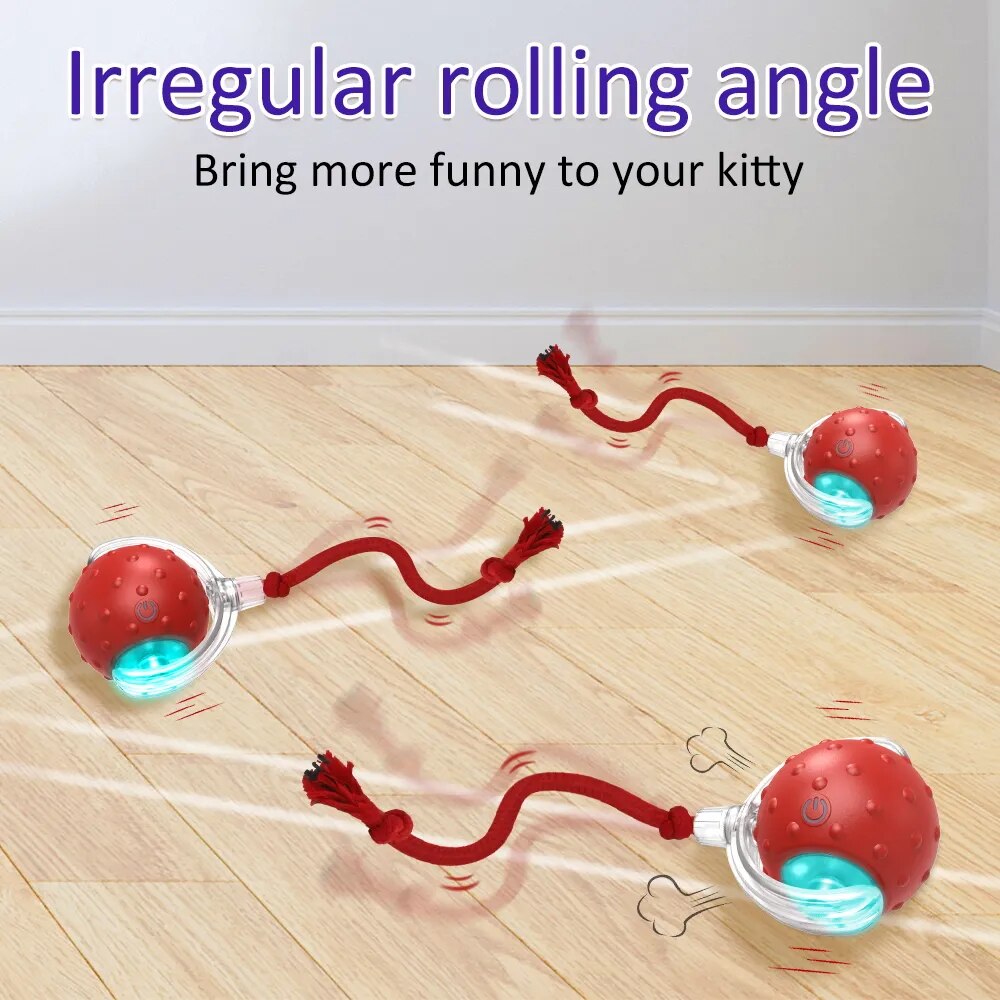 Cat Rolling Ball Bird Chirping Toy Motion Sensor  Random - specialneedspetshop