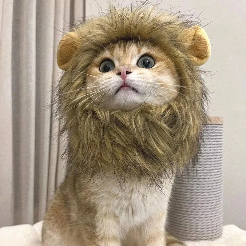 Cat Costume   Lion Mane Cat Wig Hat