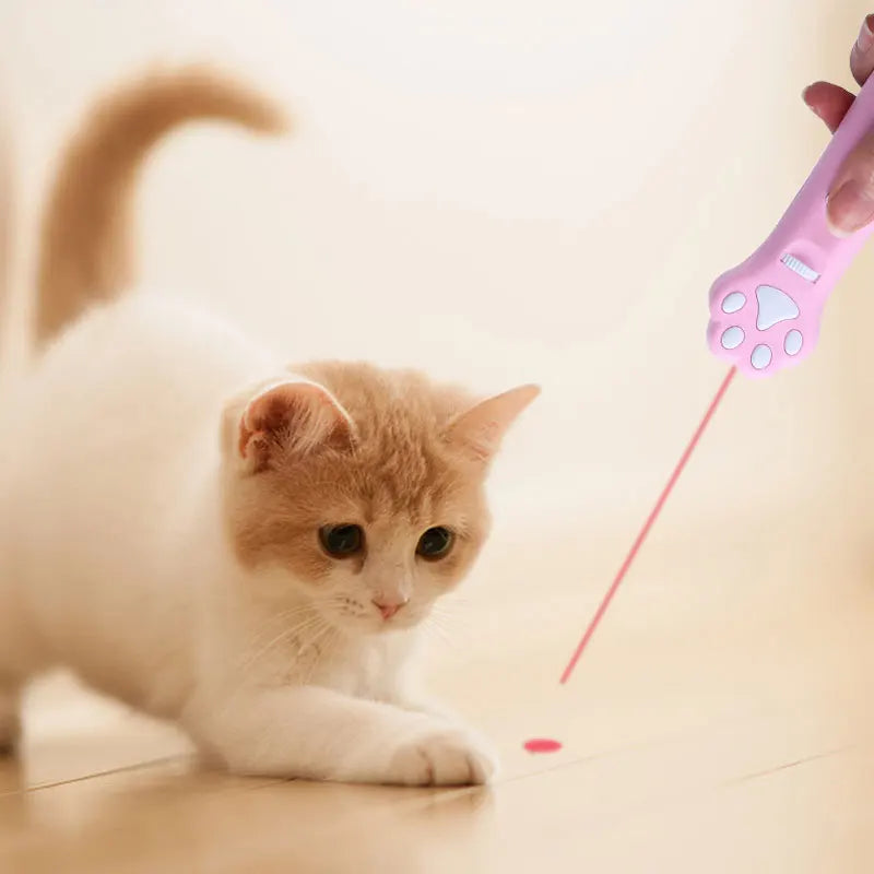 Laser Cat Teasing Stick 5 Modes + Red Dot LED Light Pointer