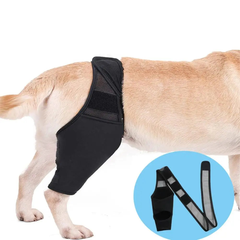 Pet Dog Knee Brace For Joint   Leg Brace Rear Leg Brace