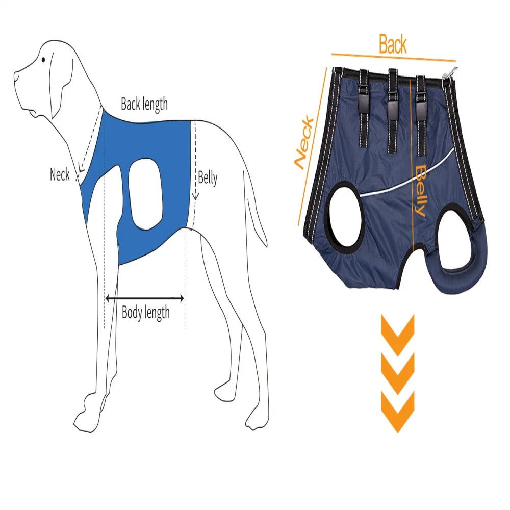 Dog Lift Harness Rehabilitation Sling Padded Breathable Straps for Joint Injuries