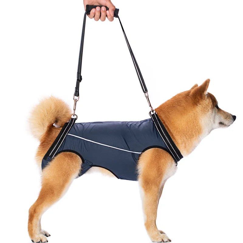 Dog Lift Harness Rehabilitation Sling Padded Breathable Straps for Joint Injuries