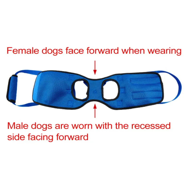 Support Harness for Legs Lifting Dogs with Disabilities - specialneedspetshop