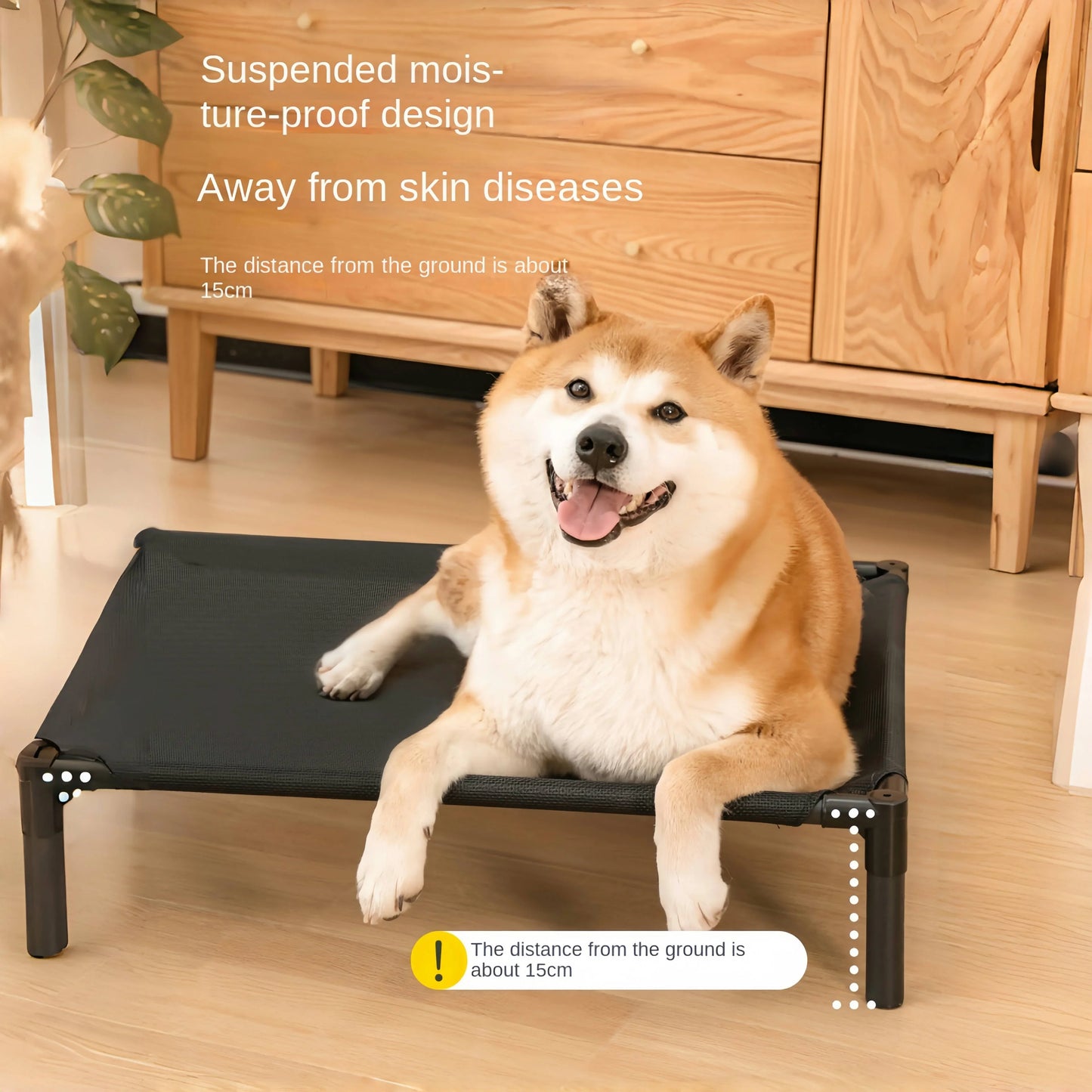 Elevated Bed for Dogs Portable Removable Washable