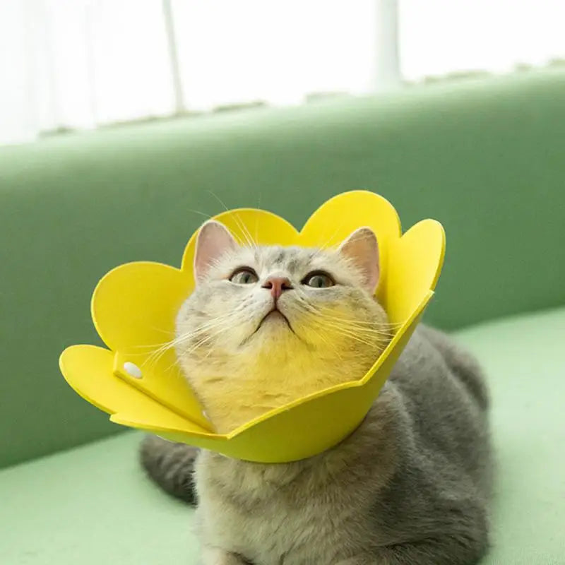 Sunflower Shaped Cat Elizabeth Collar Protective Cone Protect Neck