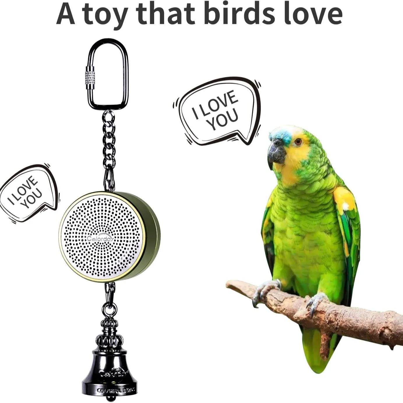 Parrot Talking Coach Interactive Recording Electronic Voice - specialneedspetshop