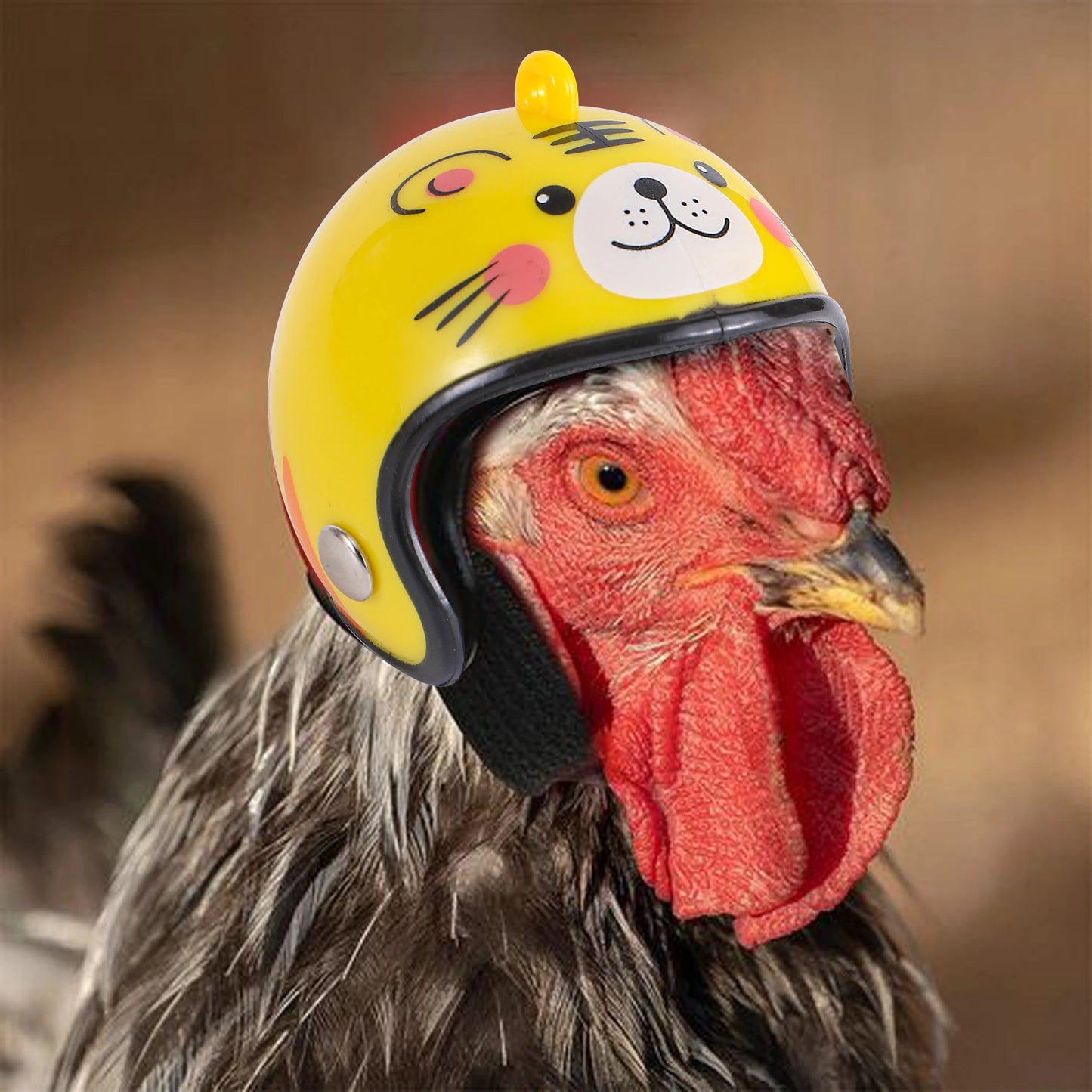 Chicken Helmet Bird Hard Hat Headgear Prevent The Chicken From Smash Protect For Hens Head Pet Supplies