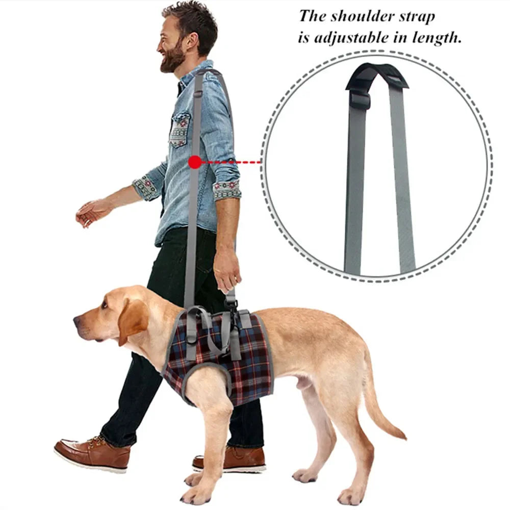 Adjustable Dog Support Harness for Front and Rear Legs