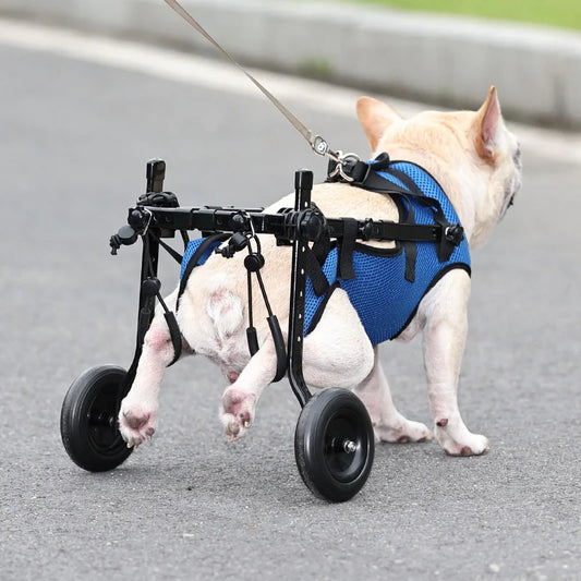 Wheelchair for disabled Dog Cart Hind Legs