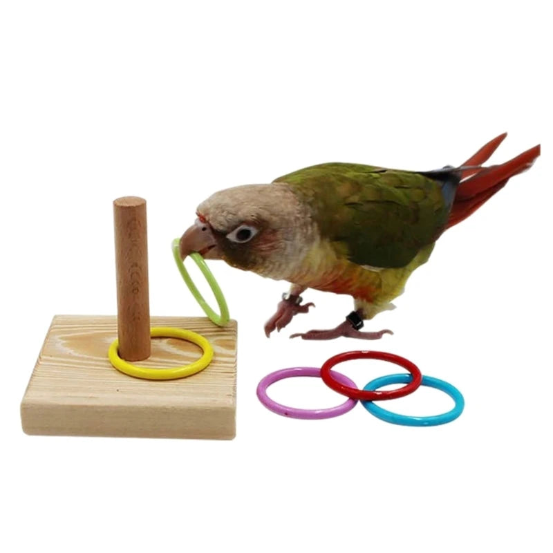 Bird Training  Wooden Block Puzzle  Colorful Plastic Rings