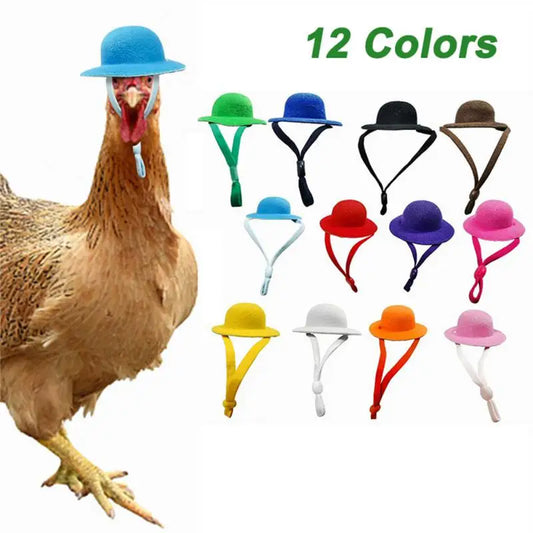 Helmet Chicken   Bird Protective   Hat For Hens