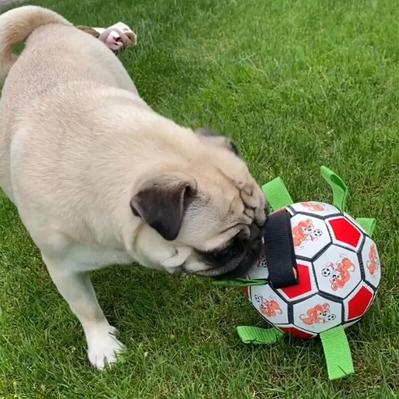 Football For Dogs Outdoor Training  Bite Chew - specialneedspetshop