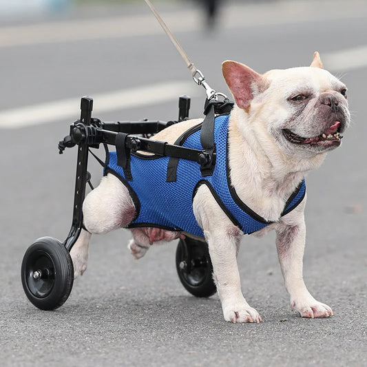 Aluminum Alloy Pet Dog Wheelchair, Dog Rehabilitation Walking Assistance Carts, Pet Dog Leg Disability Walking Aid Scooter