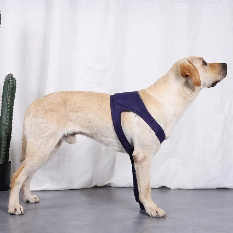 Dog Support Brace Front Joint Wrap Recover Sleeve - specialneedspetshop