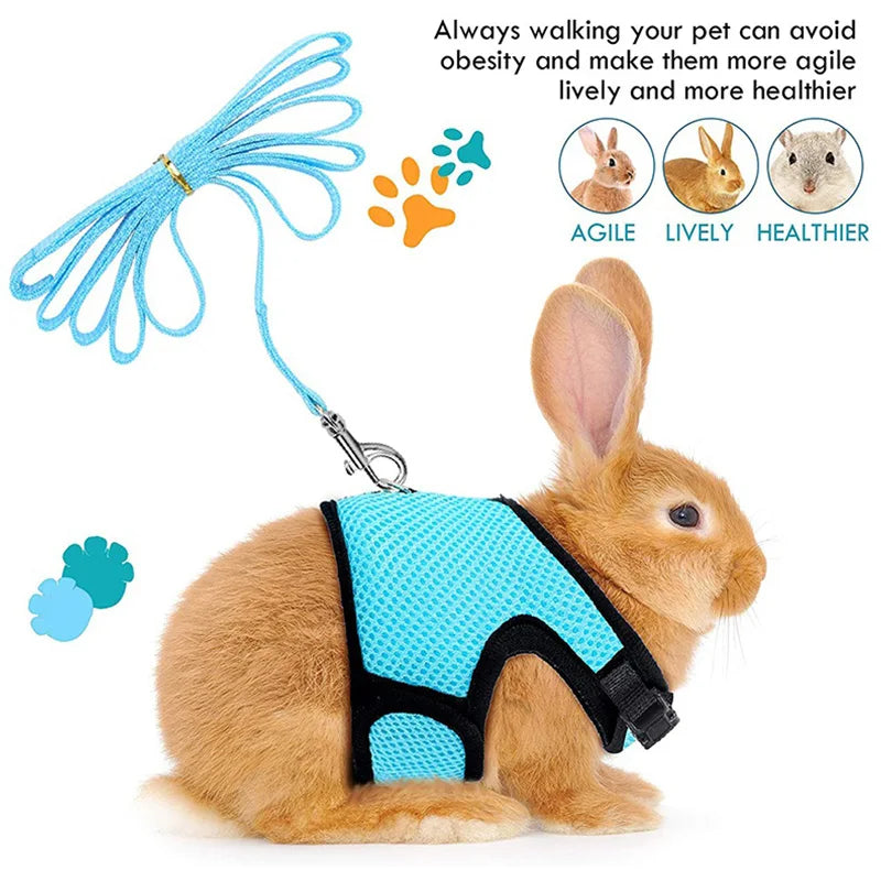 Pet Mesh Soft Harness With Leash   Small Animal Vest