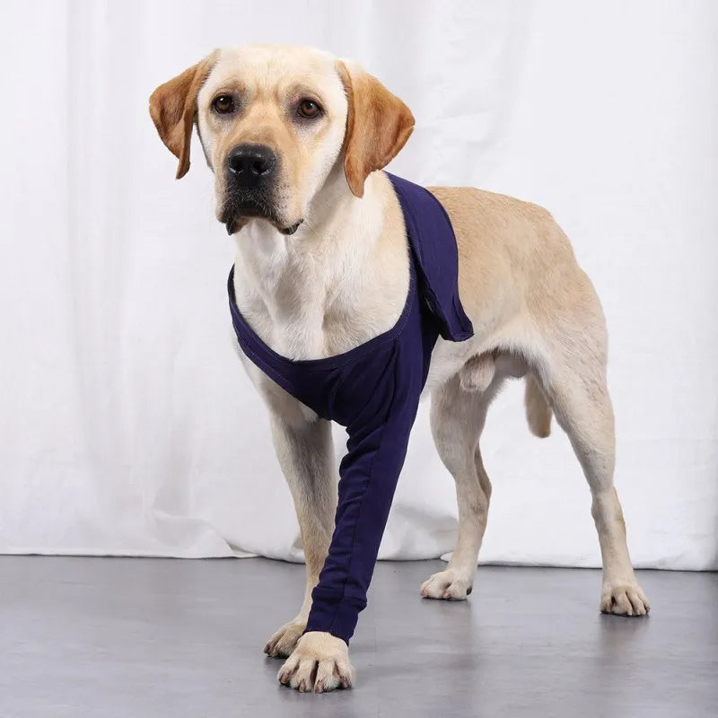 Dog Support Brace Front Joint Wrap Recover Sleeve - specialneedspetshop