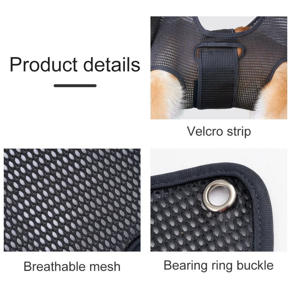 Dogs Grooming Hammock  Cats  Nail Clip Trimmer Bathing Bags Grooming And Care