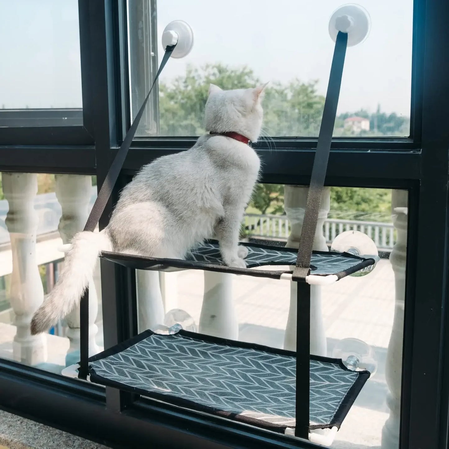 Cat Window Perch Cat Window Bed Hammock