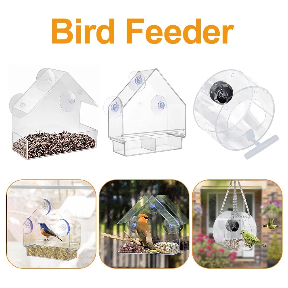 Bird Feeder Acrylic Window Bird Feeder - specialneedspetshop