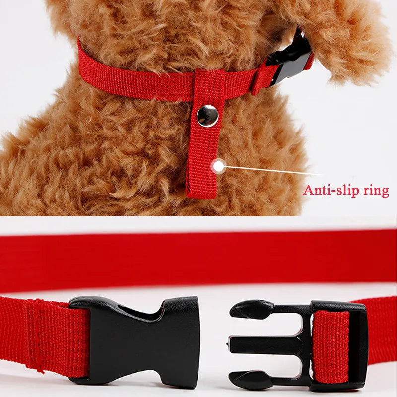 Mouth Mask   Adjusting Straps  Small Dogs Muzzle - specialneedspetshop