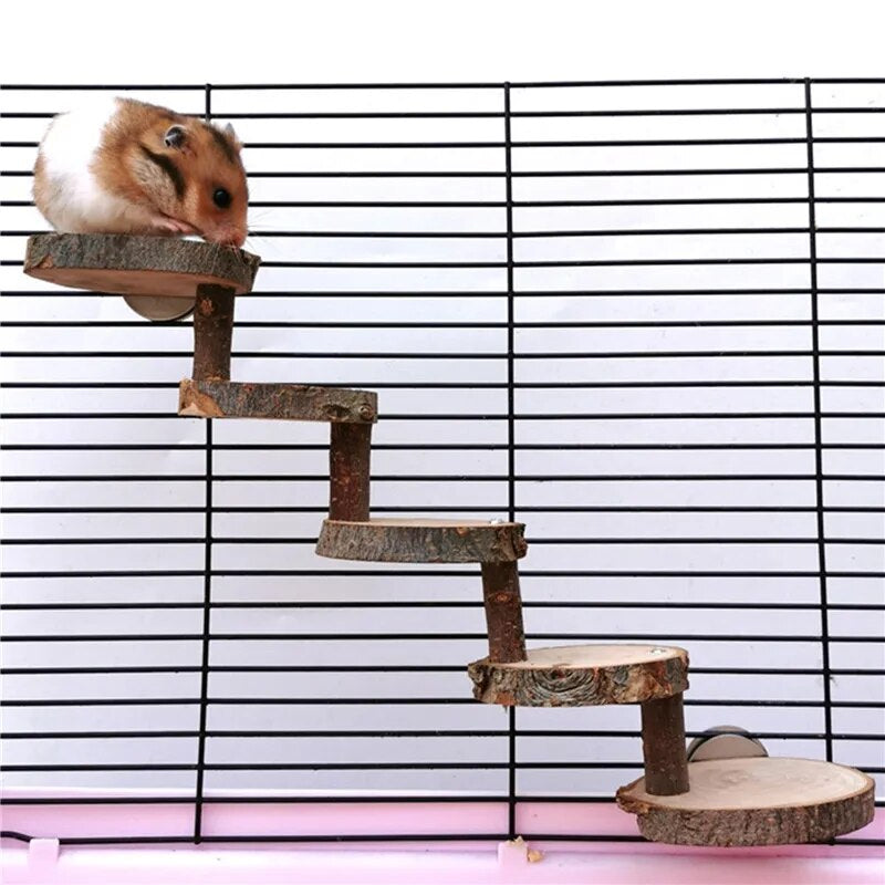 Hamster Wooden Climbing Stairs Exercise - specialneedspetshop